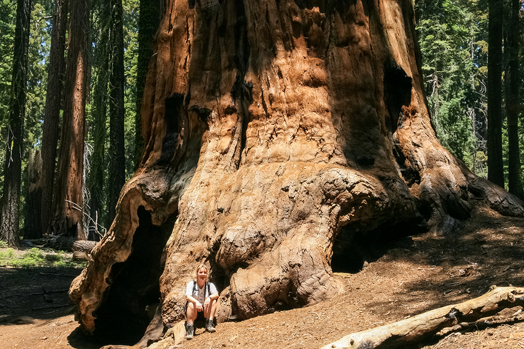 07-02 - 10.JPG - Sequoia National Park, CA